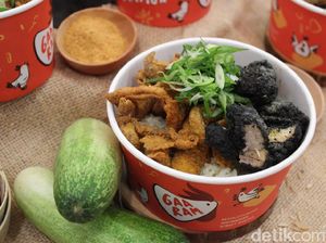 Ayam Batubara, Besutan Baru Gibran dan Kaesang Ayam Batubara, Besutan Baru Gibran dan Kaesang