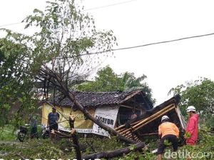 Hujan Angin di Klaten Tumbangkan Pepohonan dan Bikin Rumah Rusak
