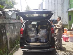 Berkedok Kacang Telur, Gorilla Bandung Diedarkan Pelaku Via Ekspedisi