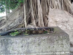 Ini Pantangan Mistis Saat Berkunjung ke Candi Gedog Blitar