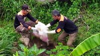 Kerangka Manusia di Hutan Pinus Pemalang Dimakamkan