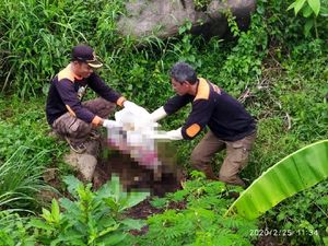 Kerangka Manusia di Hutan Pinus Pemalang Dimakamkan