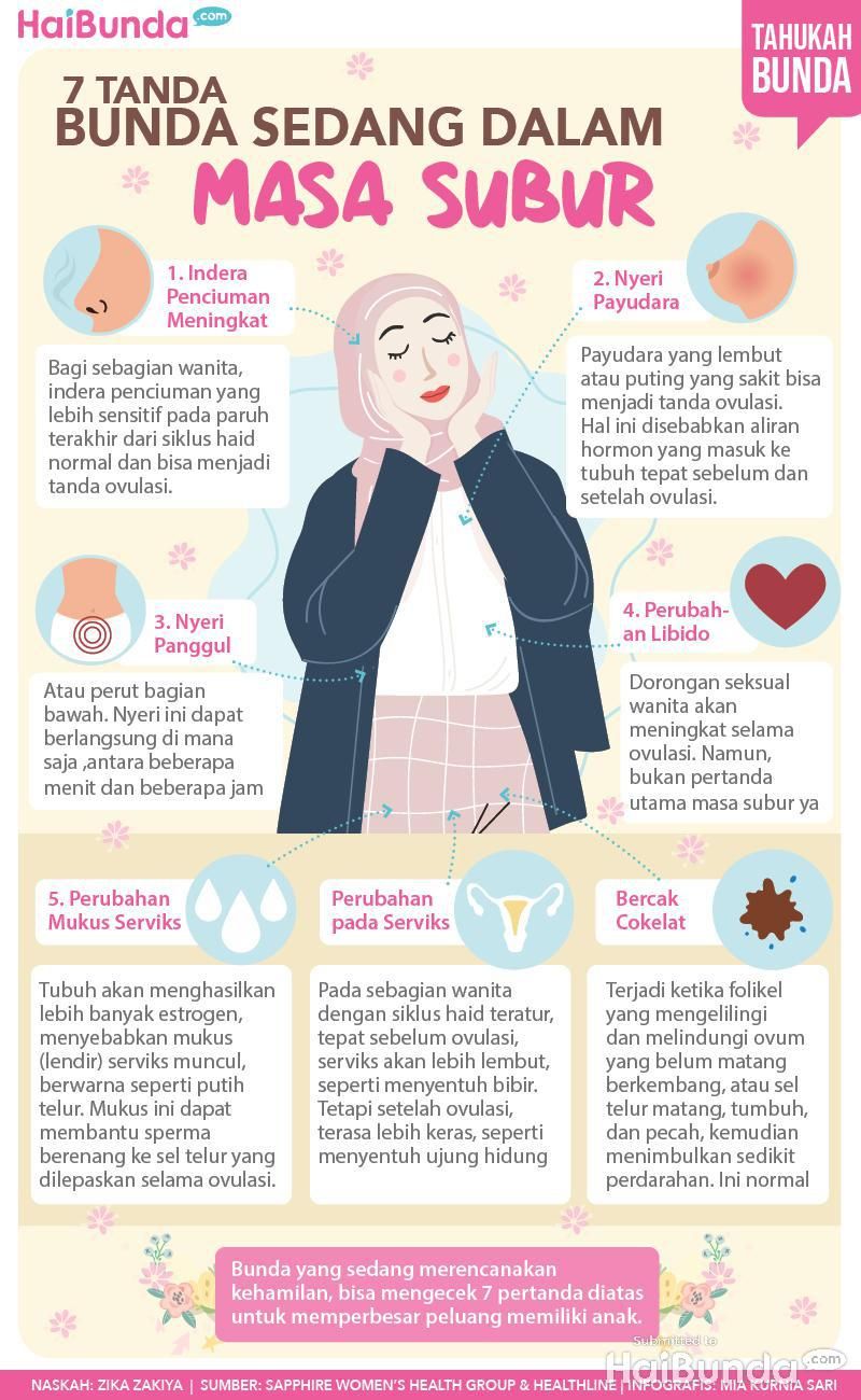 Infografis Masa Subur