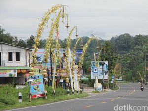 Ribuan Janur Kuning Hiasi Jalanan di Banjarnegara, Ada Apa? Ribuan Janur Kuning Hiasi Jalanan di Banjarnegara, Ada Apa?