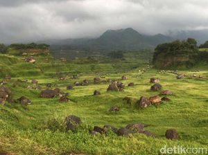 Sempat Viral, Ini Keindahan Ranu Manduro Ngoro di Mojokerto Sempat Viral, Ini Keindahan Ranu Manduro Ngoro di Mojokerto