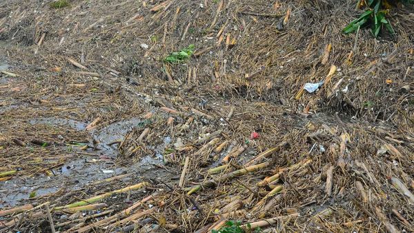 Gunungan Sampah Penuhi Bendungan Wilalung di Kudus