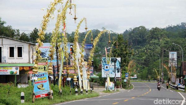 Ribuan Janur Kuning Hiasi Jalan di Banjarnegara
