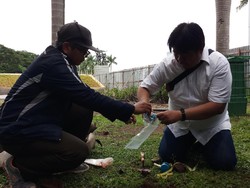 Cek Perusakan, Tim Komisi Pengarah Ambil Sampel Tanah-Pohon Revitalisasi Monas