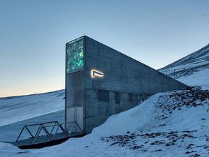 Puluhan Ribu Benih Baru Disimpan di Brankas Anti Kiamat