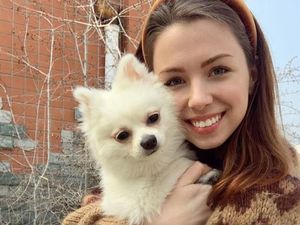 Instagrammer Cantik Ini Rela Terancam Corona Demi Anjingnya Instagrammer Cantik Ini Rela Terancam Corona Demi Anjingnya