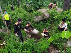 Kronologi Penemuan Kerangka Wanita Berserakan di Hutan Pinus Pemalang