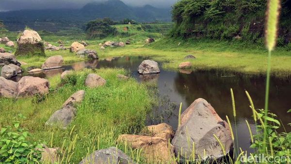 Sempat Viral, Begini Lho Keindahan Padang Rumput Ranu Manduro