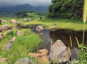 Sempat Viral, Begini Lho Keindahan Padang Rumput Ranu Manduro