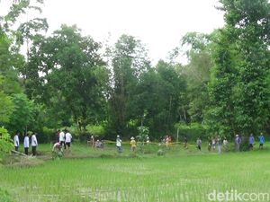 Sawah yang Mendidih di Sumenep Ternyata Bekas Sumur