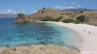 Pantai Pink Komodo yang Bikin Kangen