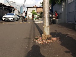 Kesaksian Ngeri Seorang Warga Saat Bumil Ditabrak hingga Tewas di Palmerah