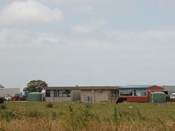 Kesaksian WNI Kerja Ilegal di Australia: Status Visa Tak Pernah Ditanya