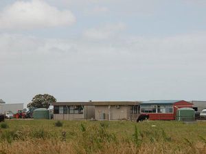 Kesaksian WNI Kerja Ilegal di Australia: Status Visa Tak Pernah Ditanya Kesaksian WNI Kerja Ilegal di Australia: Status Visa Tak Pernah Ditanya