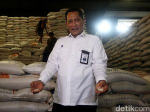 Bulog Mau Produksi Beras Premium, Bagaimana Nasib Petani-Penggilingan? Bulog Mau Produksi Beras Premium, Bagaimana Nasib Petani-Penggilingan?