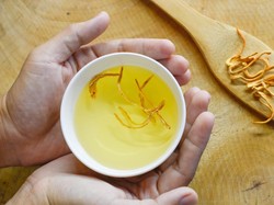 Cordyceps Militaris, Jamur Terbaik untuk Imunitas dan Saluran Napas