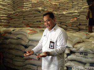 Buwas Rapat Virtual dengan DPR Bahas Stok Pangan, Ini Hasilnya