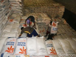 Bulog Sulit Serap Beras Hasil Panen di Sulteng, Kok Bisa?
