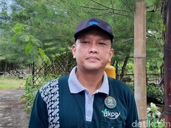 Kunang-kunang di Hutan Mangrove Surabaya Kejutkan Peneliti Jepang