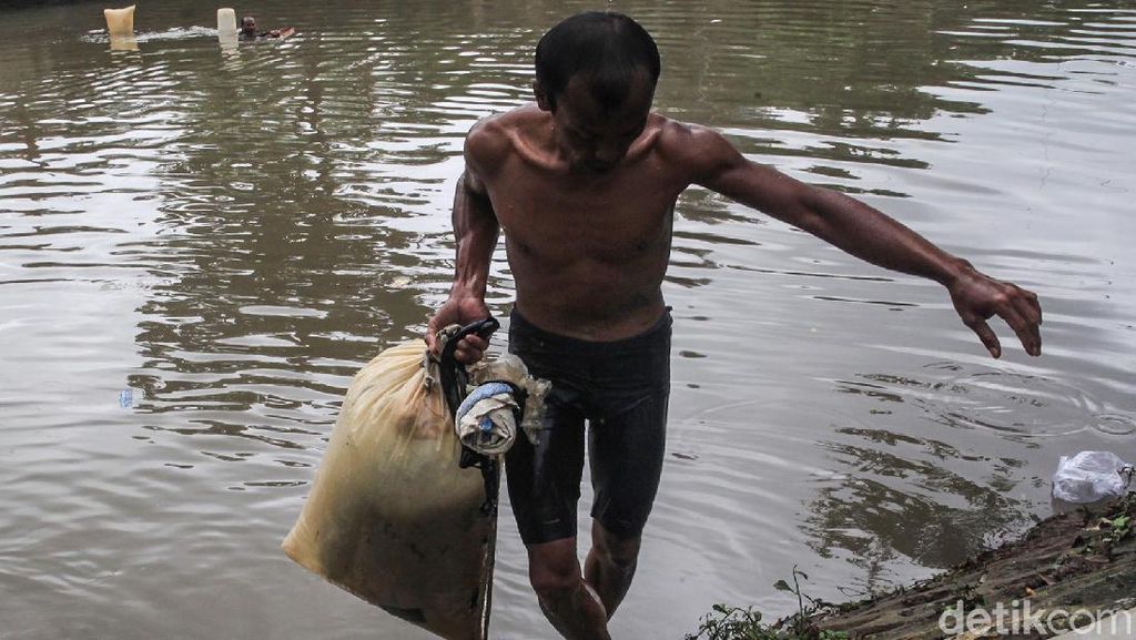 Berkah Banjir, Jumlah Cacing Sutra Melonjak Berkah Banjir, Jumlah Cacing Sutra Melonjak