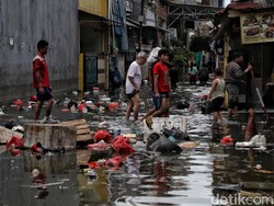 BNPB Undang Pakar Cari Solusi Permanen Atasi Banjir di Jabodetabek