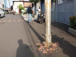 Kisah Getir Wanita Hamil Tewas Ditabrak Ibu-ibu Belajar Nyetir