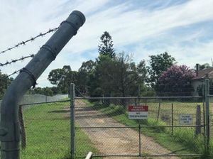 Berhasil Melarikan Diri, Seekor Babon di Sydney Gagal Divasektomi Berhasil Melarikan Diri, Seekor Babon di Sydney Gagal Divasektomi