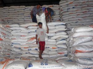 Beras Bulog yang Kelamaan di Gudang Diusul Jadi Rastra Beras Bulog yang Kelamaan di Gudang Diusul Jadi Rastra