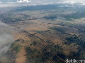 Pemandangan Banjir Rendam Ribuan Hektare Sawah di Karawang