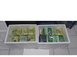 Bandar Serta 2 Kurir Sabu 35 Kg di Aceh Ditangkap di SPBU