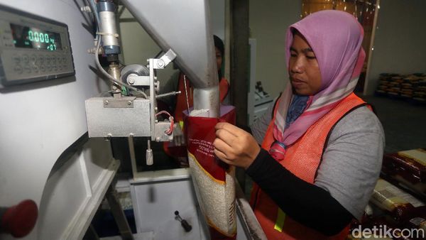 Melihat Proses Pengemasan Beras Bulog di Utara Jakarta