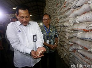 Bulog Bakal Produksi Beras Premium 2022, Buwas: Nggak Ada Lagi Impor!