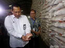 Bulog Bakal Produksi Beras Premium 2022, Buwas: Nggak Ada Lagi Impor!