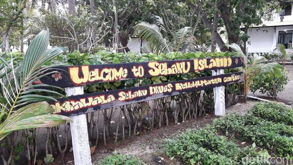 Potret Pulau Sebaru Tempat Observasi 188 WNI ABK World Dream