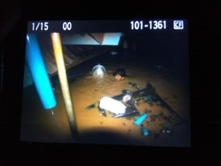 Banjir Terjang 3 RW di Jatinangor, Ketinggian Air hingga Atap