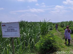 KPK Sita 4 Sawah Terkait Kasus TPPU Mantan Bupati Mojokerto KPK Sita 4 Sawah Terkait Kasus TPPU Mantan Bupati Mojokerto