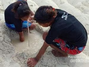 Cobain Nih Wisata Kuliner Ekstrem Papua, Insonem
