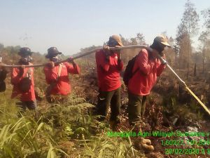 Sudah 3 Hari, Karhutla di Dumai Riau Masih Belum Padam