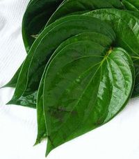 10 Rekomendasi Sabun Yang Ampuh Buat Menghilangkan Bau Badan