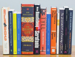 Ini 13 Penulis Nominasi Man Booker International Prize 2020