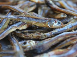 Makanan Terburuk di Asia Tenggara hingga Masak Darurat Anak Kost