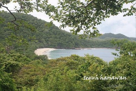 Jelajahi Pantai  Papuma Pantai  Indah di Pulau Jawa 