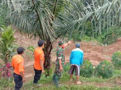 Longsor Terjang Tasikmalaya, 1 Warga Hilang-Akses Terputus