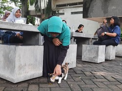 Pemerhati Satwa Liar Pertanyakan Solusi ITS soal Kampus Bebas Kucing