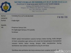 Ini Isi Surat Edaran ITS Bebas Kucing yang Viral di Medsos