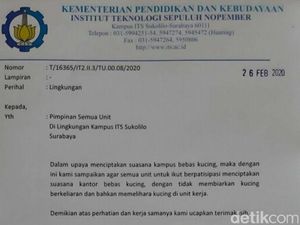 Ini Isi Surat Edaran ITS Bebas Kucing yang Viral di Medsos Ini Isi Surat Edaran ITS Bebas Kucing yang Viral di Medsos